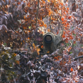 jarda - foto pri fotolove