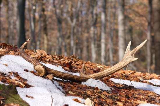 druhý v sezóne 2012