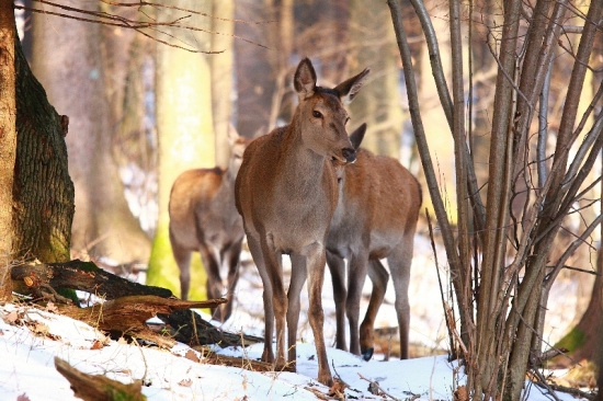 stretnutie na chodníku...