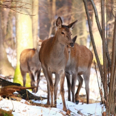 stretnutie na chodníku...