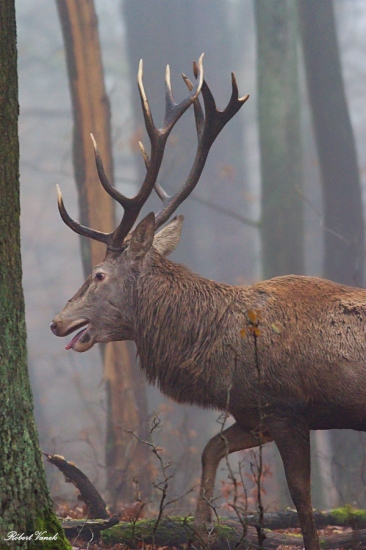 pekné stretnutie...