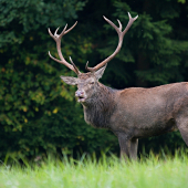 zahladený dvanástorák...