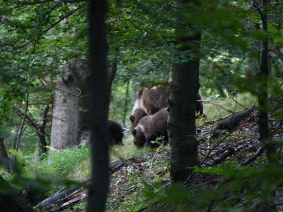 na koho sa to malé asi tak podobá?