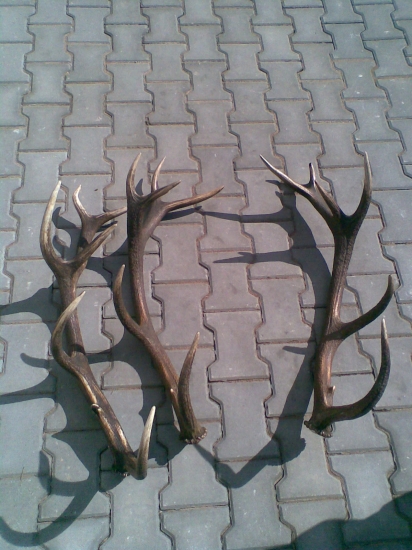 každý má jiného majitele