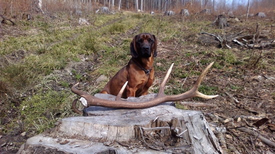 Bez komentáře....   :-)