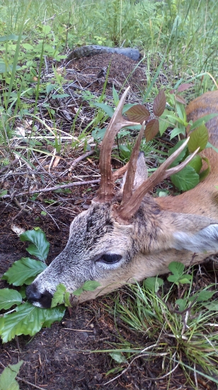 Kdo hledá, najde ...