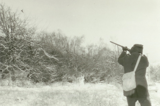 Vysoký kohút na Krížnych cestách