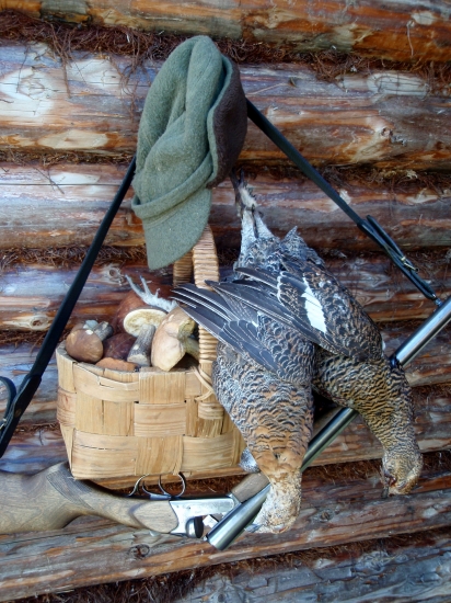 Ranná prechádzka jesennou tajgou