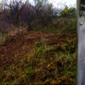 Nová umelá nora, už máme nájomníka