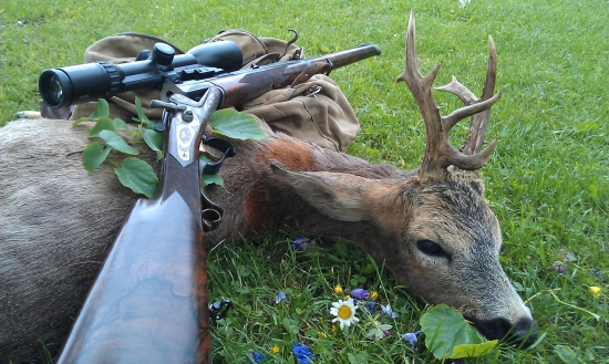 Desatorák od Babiarí