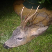 Bola to trojročná známosť