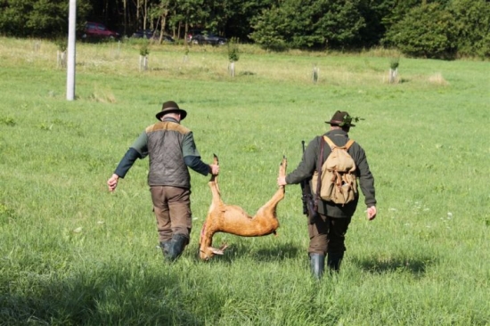 Ráno na Špankovej