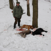 Môj príspevok do diskusie k ID 79184