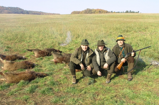 operak, maroszoo, martin203