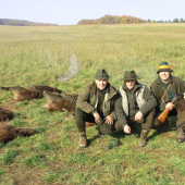 operak, maroszoo, martin203