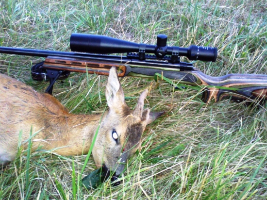 Môj nový pomocník z krajiny samurajov