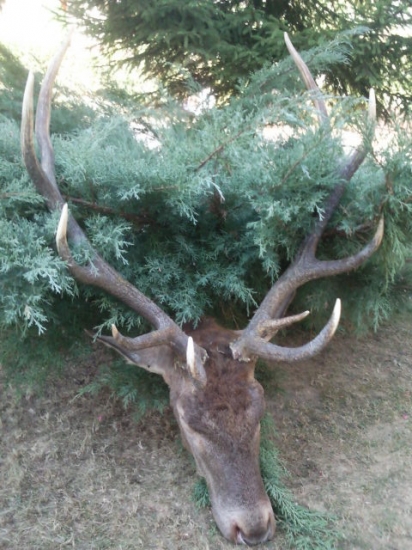 aj mne sa zadarilo 2