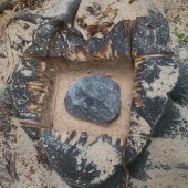 Solisko