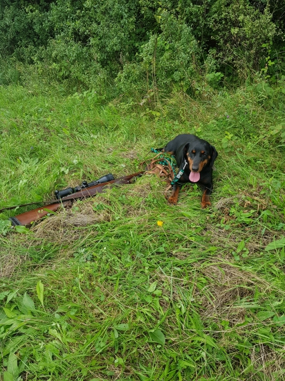 ČAKÁME NA DOHLADAVKU NA PF