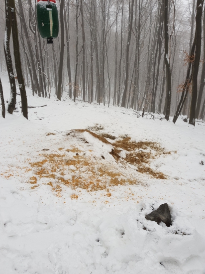 TAK AKO TO ROBÍM CELÝ ROK