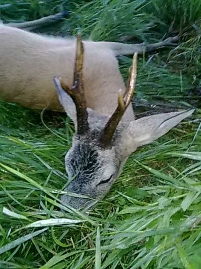 SPIATOCNIK