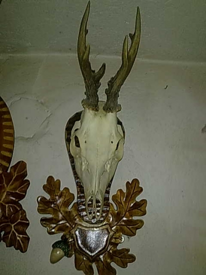 mala rarita