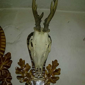 mala rarita