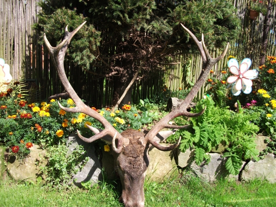 moj prvy privabeny 2