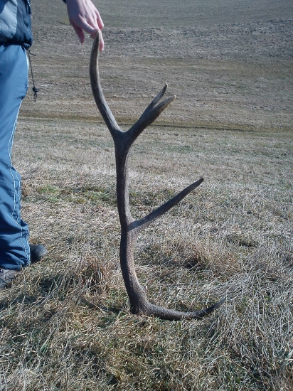 o 11-stej som sa vybral prejsť a hnet toto