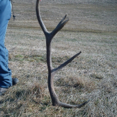 o 11-stej som sa vybral prejsť a hnet toto