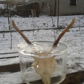 Aj toto sa stava