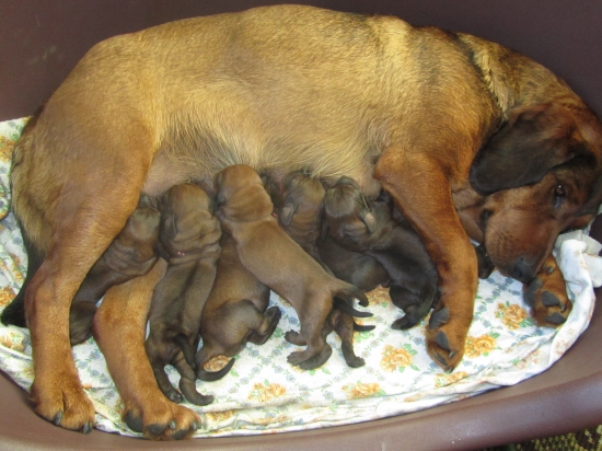Už máme 1. týždeň za sebou