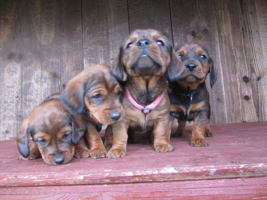 Ako zídeme dole...?