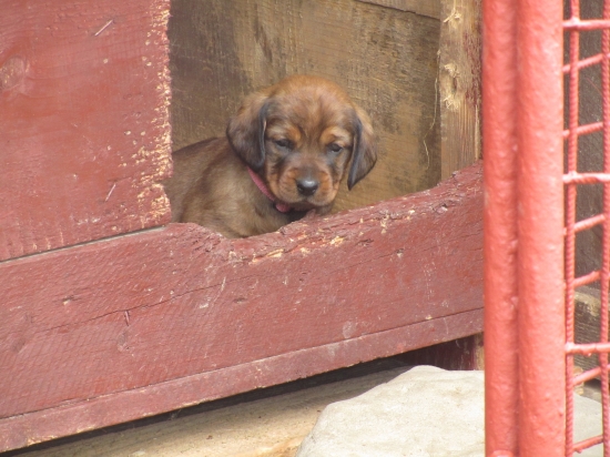 Pre Rinka a Martina!