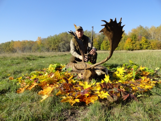 kamarátov zlatý z Maďarska