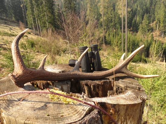 cca. štvté parožie