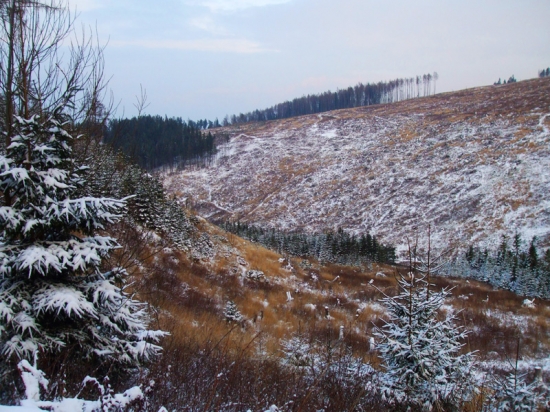 Spomienka na začiatok zimy.