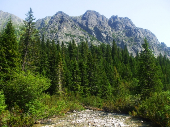 Tie skaly tatranské. :)