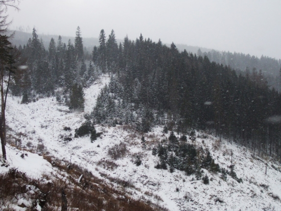 Sniežik sa nám chumelí. :)