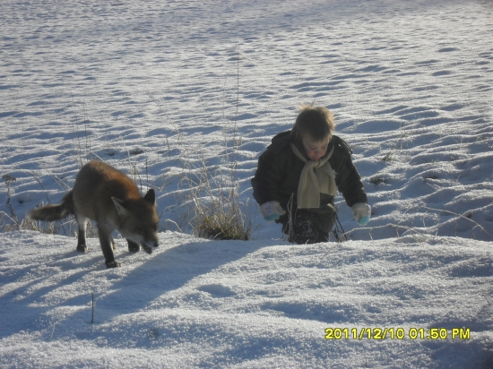 po stopách s Míšou