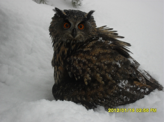 Filípek si hlídá lup