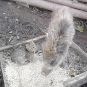 moje JULINKA a Míca