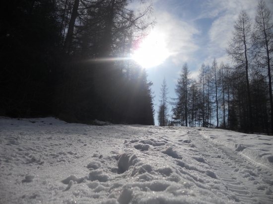 Cesta za slnkom