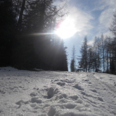 Cesta za slnkom