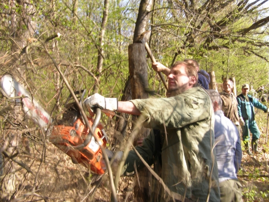 v pracovnom nasadení