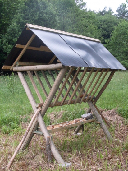 Konečne je v lese .