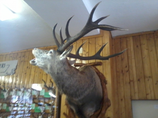 Chovatelska prehliatka Liptovsky hradok