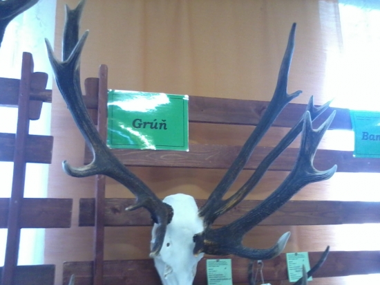 Chovatelska prehliatka Liptovsky hradok