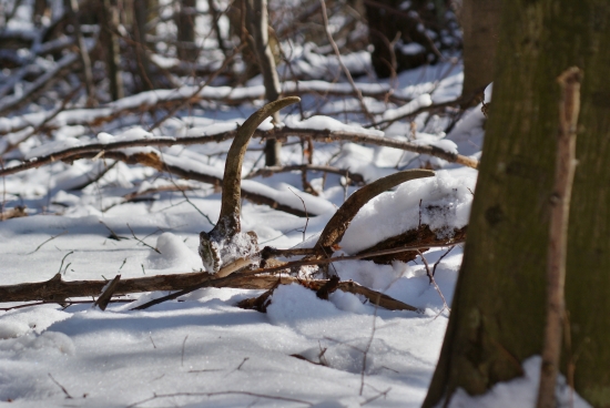 Aj ked´ starší, mňa potešil lebo je to môj prvý.. :)