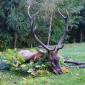 Posledná pocta starému kráľovi